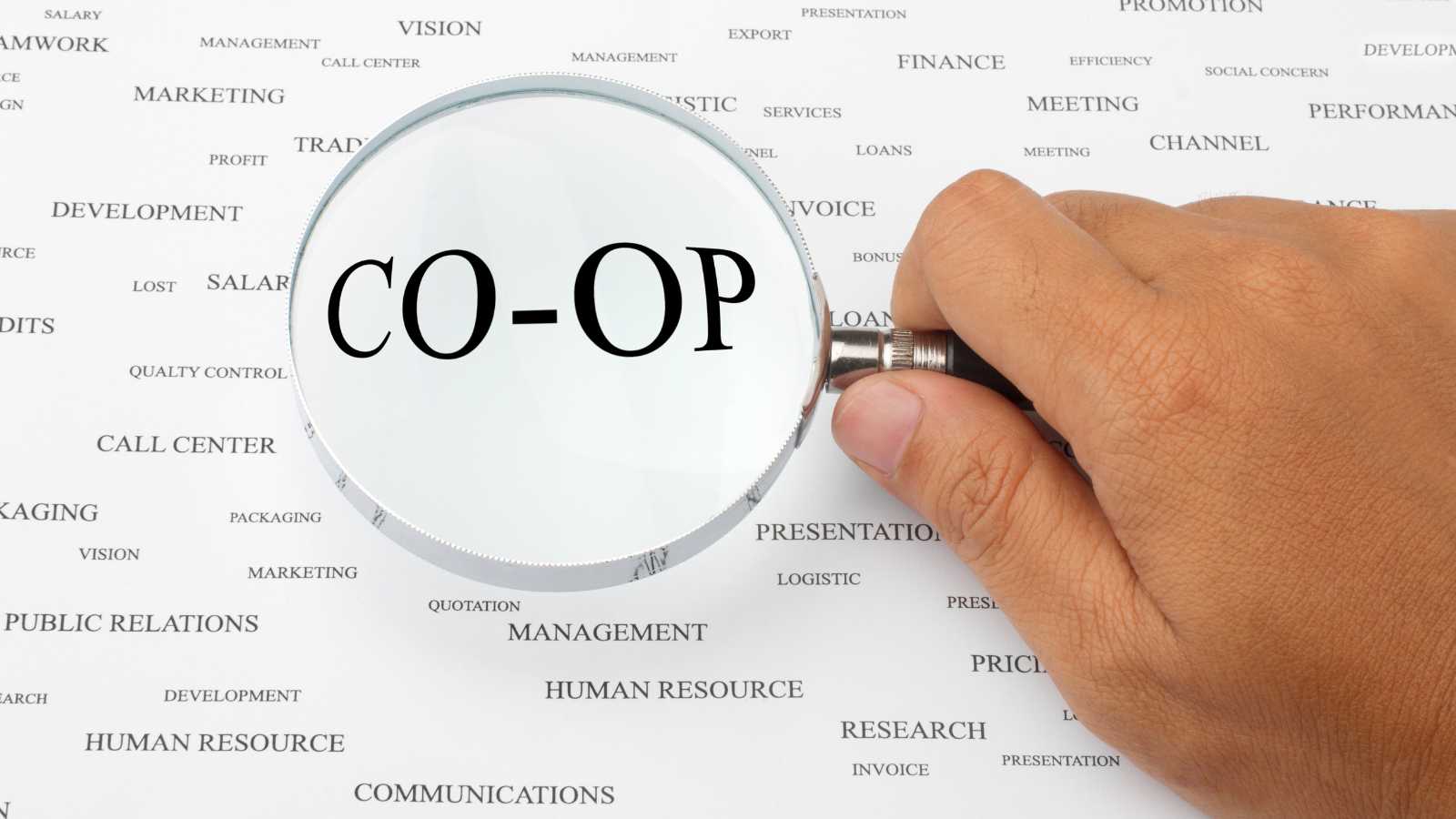 Buying a Co-op Right for You: 5 Essential Considerations Before Making Your Decision