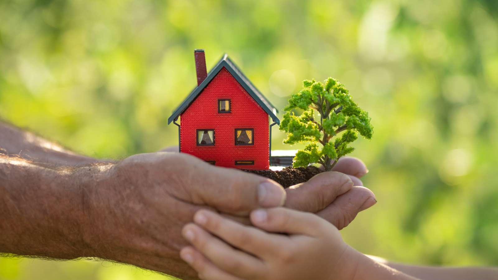 Eco-Friendly Home Improvements Guide: 5 Sustainable Upgrades for Your Living Space