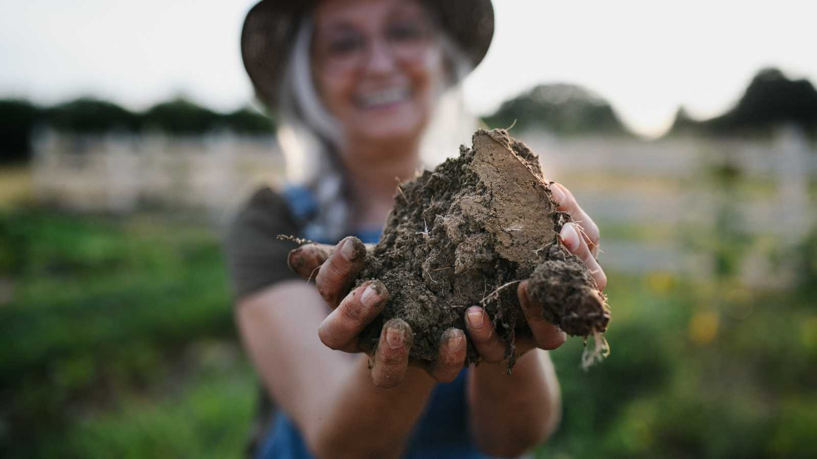 What are the specific disclosure requirements for crowdfunding campaigns related to regenerative agriculture - growthcents.com