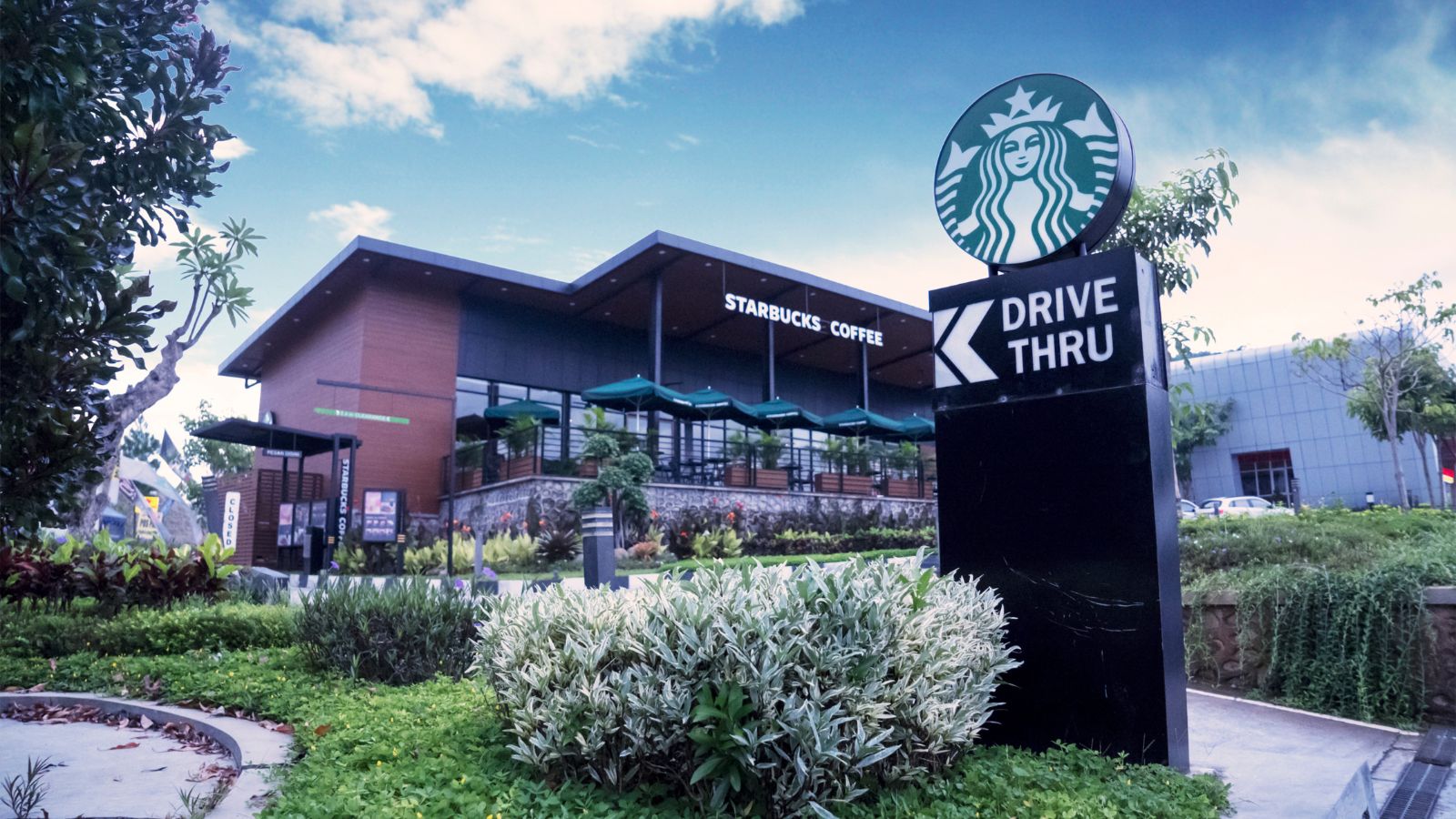 starbucks coffee store